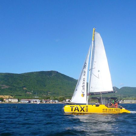 Est Eco-Cabines Nouvelle Kültér fotó